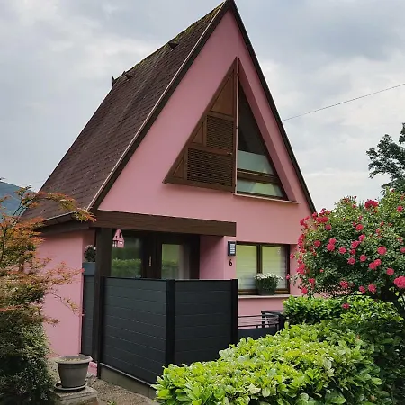 Gite Delphine Kaysersberg-Vignoble Exterior foto